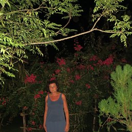 ���� �������, ���������, 55 ��� - ��������� 20 ������� 2015