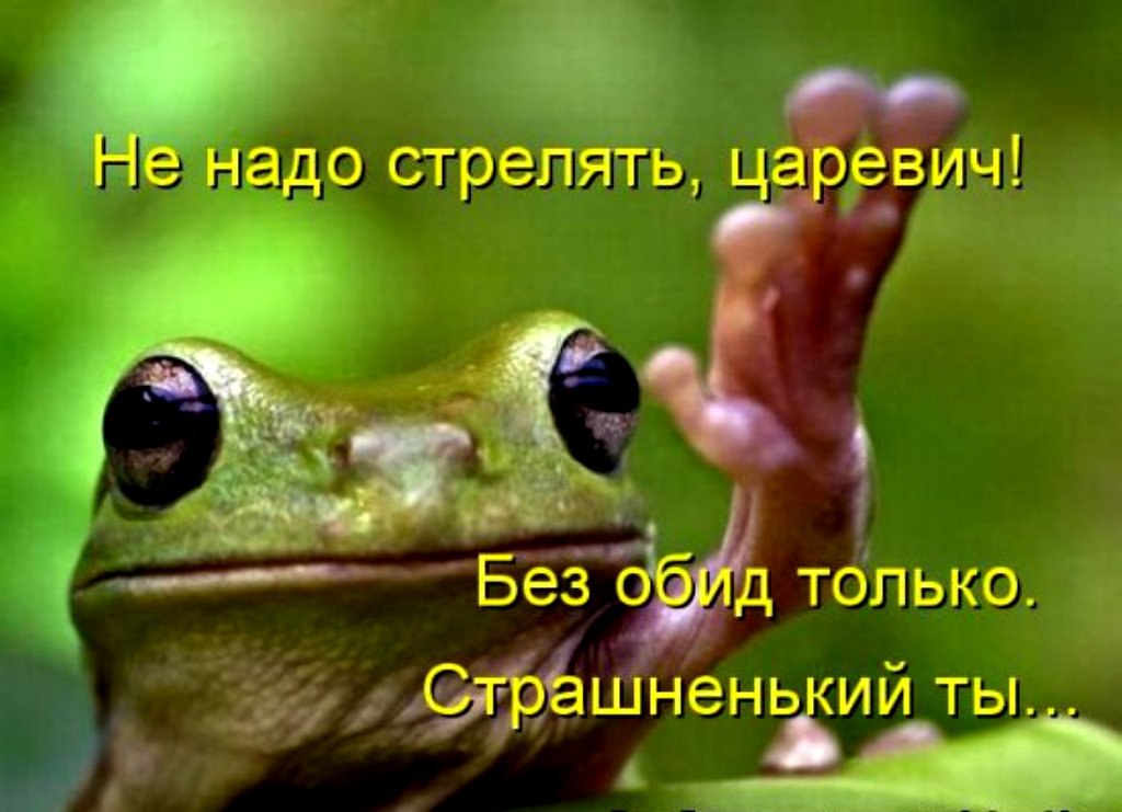   - 24  2015  01:48