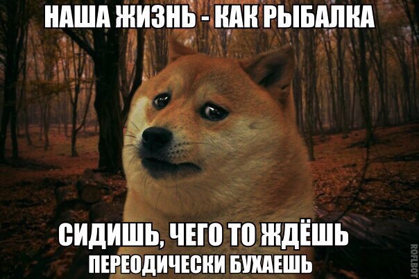    :-) - 23  2016  05:59