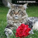 ���� Alekcandr, ������ - ��������� 29 �������� 2015 � ������ ���� ����������