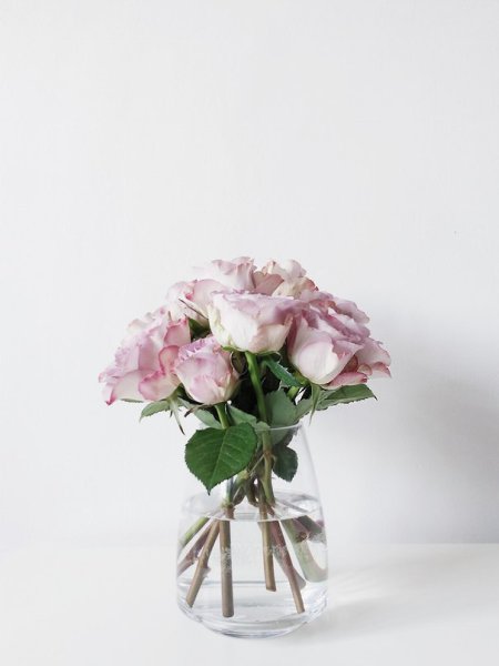 8  ,    .,  ,   ,  ...