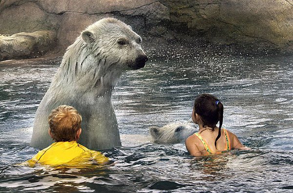 Дружба людей и животных.Люди и животные всегда были друзьями, но однажды человеку это стало ... - 7
