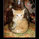  )) - 31  2016  11:24