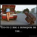 ���� ����, ������������, 45 ��� - ��������� 2 ����� 2016 � ������ ���� ����������