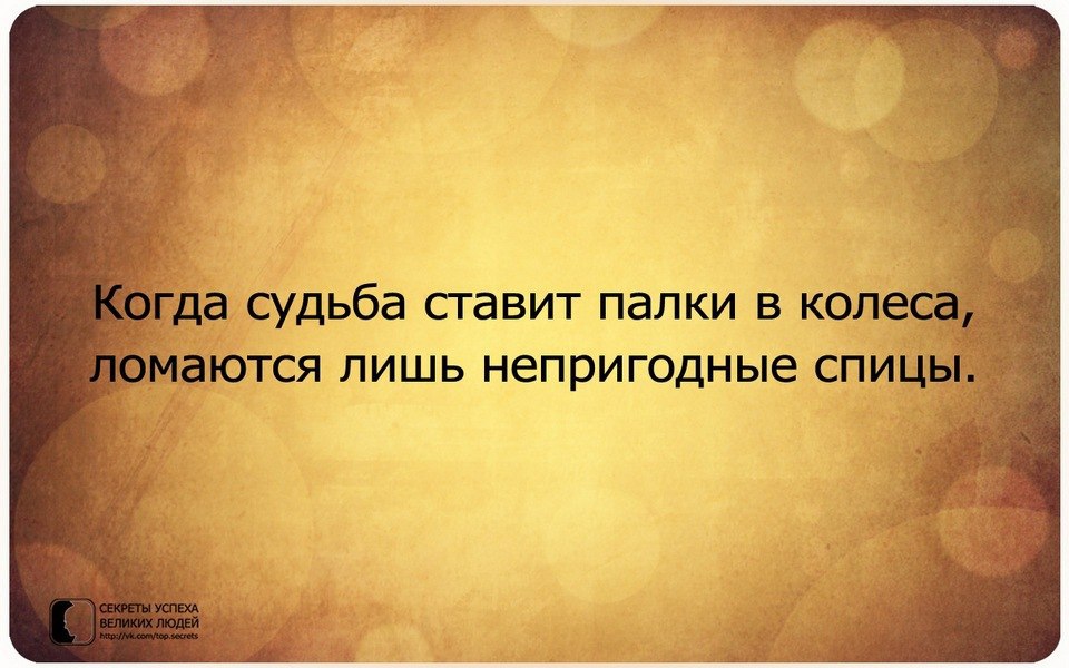     - 29  2016  18:06