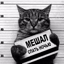 ���� Tesla, ����� - ��������� 26 ������� 2015