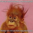 ���� ������ ++, �����-���������, 22 ���� - ��������� 19 ������ 2016 � ������ ���� ����������