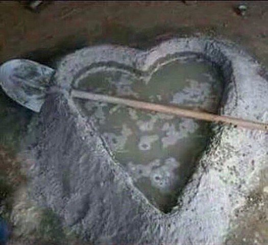  ,      .   ,      ...
