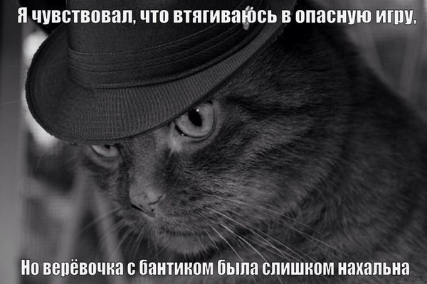    :-) - 19  2015  11:30