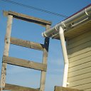 ���� ��������, �����-���������, 78 ��� - ��������� 27 ������� 2015