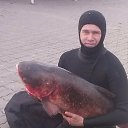 ���� ������, ������� - ��������� 19 ������� 2016 � ������ ���� ����������