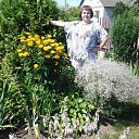  , , 55  -  10  2015     .