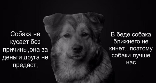   - 14  2015  22:35