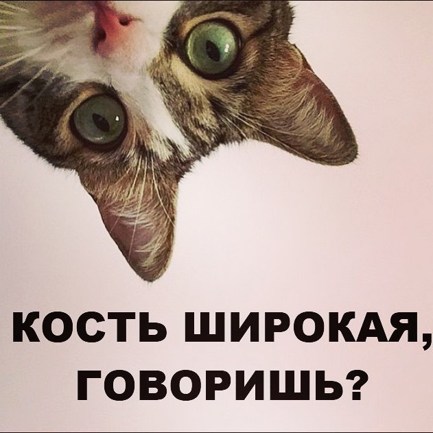    ...      ,    .    ...