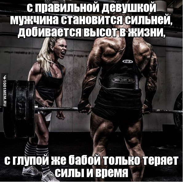  -   - 13  2015  02:55