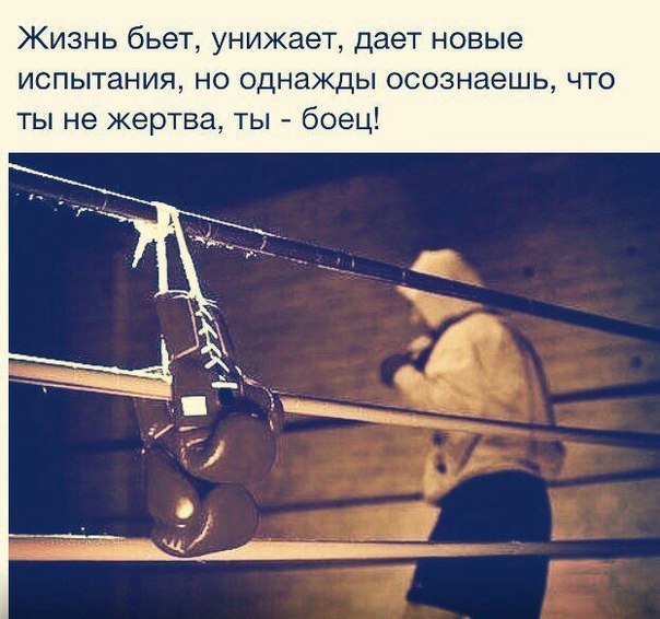  -   - 20  2016  21:21
