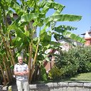  Edgard Nik., , 75  -  24  2015    2014.    