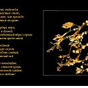 ���� ���������, ���������, 72 ���� - ��������� 7 ������ 2015 � ������ ������ ��������