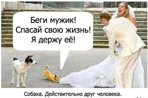    :-) - 30  2015  21:20