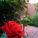 ���� �����, ��� - ��������� 20 ������ 2016 � ������ ������ ��������