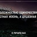 ���� �����, ����, 36 ��� - ��������� 27 ������� 2015 � ������ ������ ��������