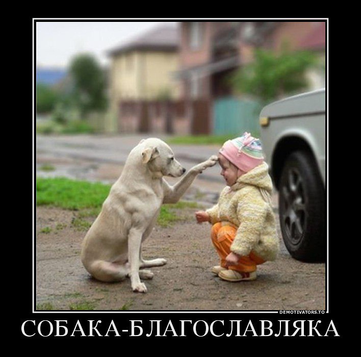 ***Victoria Viktorovna*** - 25  2015  16:52