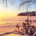 ���� Pavel, �����, 43 ���� - ��������� 11 ������� 2015 � ������ ������ ��������