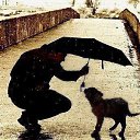 ���� ���������, �����, 45 ��� - ��������� 11 ������� 2015 � ������ ���� ����������