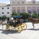 ���� ����, ��������������, 63 ���� - ��������� 16 ������ 2015 � ������ �� �������