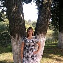 ���� �������, ������, 39 ��� - ��������� 6 ����� 2016 � ������ ���� ����������