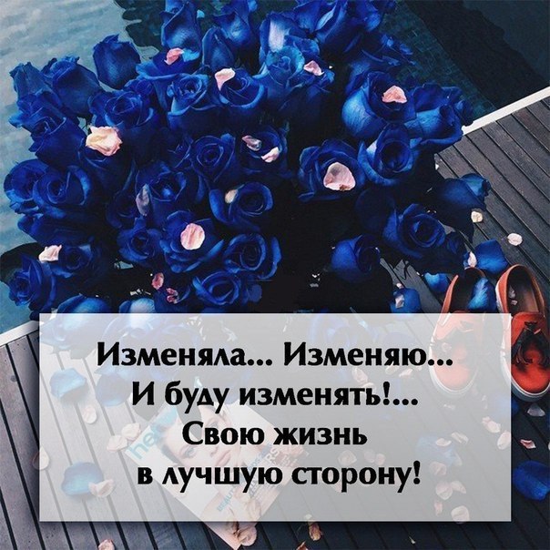     - 15  2016  07:42