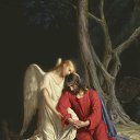  .,  , 47  -  23  2015    