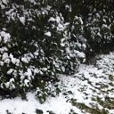 ���� �����, ������, 67 ��� - ��������� 10 ������� 2015 � ������ ������ ��������