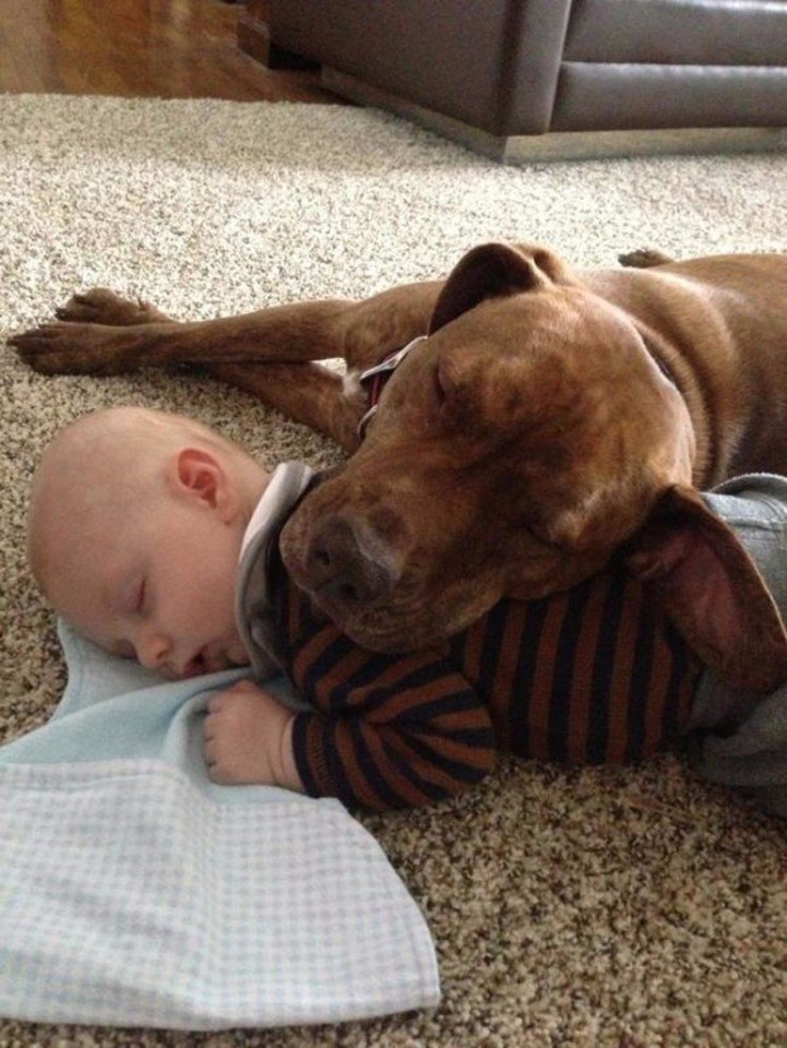  ,       .#animal@travel.blog - 6