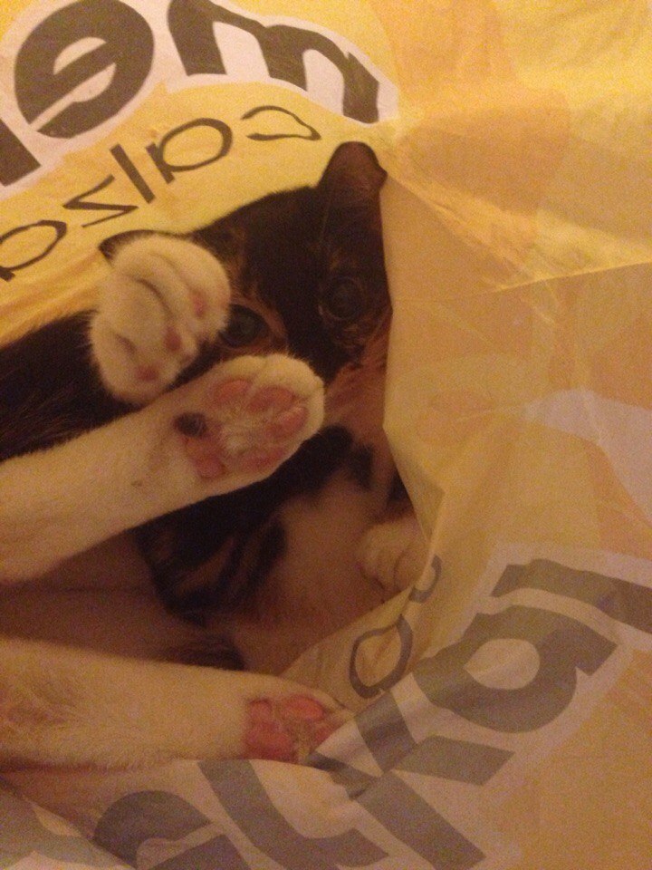 ,   ,      !     ... - 3