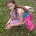 ���� ���, �����, 29 ��� - ��������� 2 ������� 2016 � ������ ������ ��������