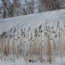  , , 69  -  8  2016   .  