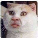 ���� Viktor, ������, 41 ��� - ��������� 6 ������� 2016 � ������ ������ ��������