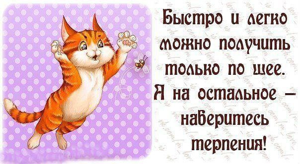  ( ) - 3  2016  20:48