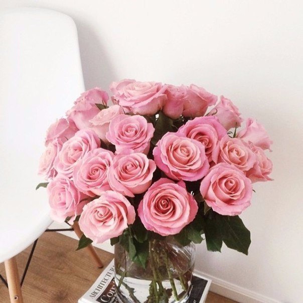    - 22  2015  03:03 - 4