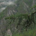 ���� �����, ��������, 53 ���� - ��������� 20 ������� 2015 � ������ ���� ���� ������