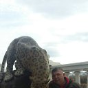  Vladimir,  -  9  2015    