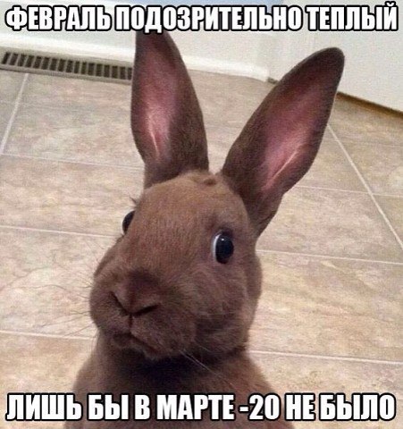  - ,  - 18  2016  15:21