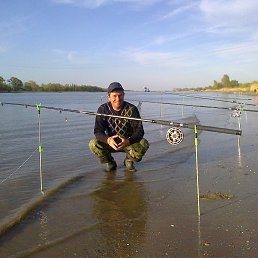 �������, ��������, 56 ���