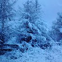 ���� �����, �����, 57 ��� - ��������� 30 ������ 2016