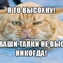 ���� �������, ���������, 45 ��� - ��������� 6 ����� 2016 � ������ ������ ��������