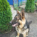 ���� Andrei, ������-��-���� - ��������� 22 ������� 2016