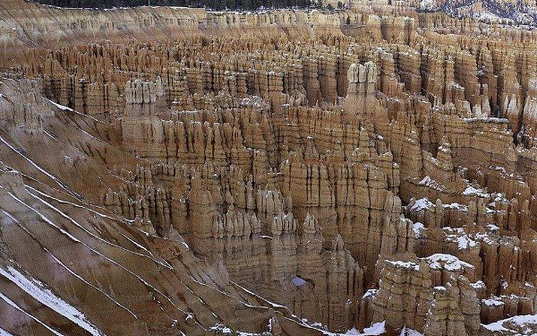 �������� ������ �������� - 1 ������ 2016 � 11:30 - 2