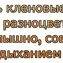 ���� E����, ��������� - ��������� 12 ������ 2015 � ������ ������ ��������