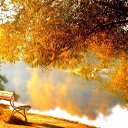 ���� ������, ������������ - ��������� 16 ������ 2015 � ������ ������ ��������